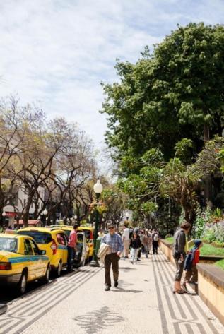 Central Funchal Apartment - Garden - Free Parking & Ac Buitenkant foto