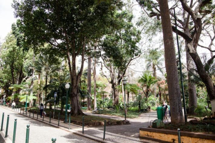 Central Funchal Apartment - Garden - Free Parking & Ac Buitenkant foto