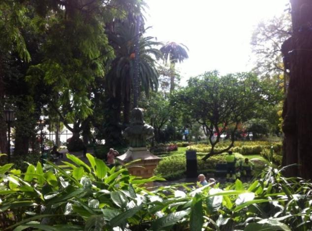 Central Funchal Apartment - Garden - Free Parking & Ac Buitenkant foto